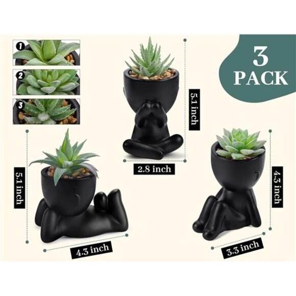 Artificial Succulents in Black Human Pot Indoor Fake Plants Home Office Decor - Picture 6 of 7